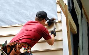 Best Fascia and Soffit Installation  in The Meadows, FL